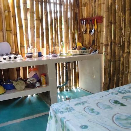 Villas Del Carmen Hostal Palenque Zewnętrze zdjęcie